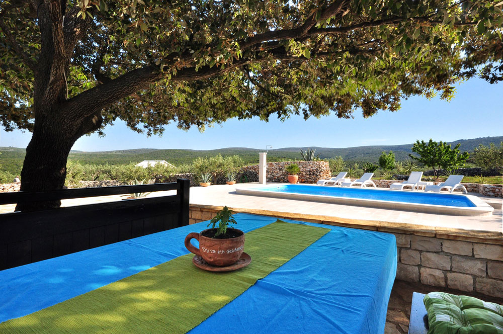 Holiday Home Sweet Dreams, Puči&scaron;ća